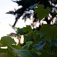 Image for article titled 48 Photos Of Autumn Around The World